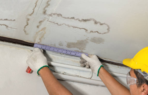 Reliable Mold Remediation contractor in Bancroft, WI by Water Damage Irwin